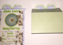 Inside an Able Catch Moth Trap