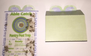 Inside an Able Catch Moth Trap 