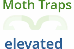 Able Catch Tab Wings Pheromone Moth Trap