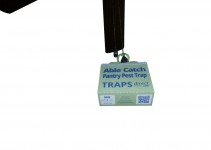 TAB WING Clasp Loop on ceiling fan chain