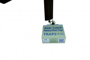 TAB WING Clasp Loop on ceiling fan chain